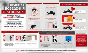 Правила поведения при пожаре