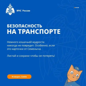 загруженное (45)