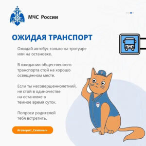 загруженное (46)