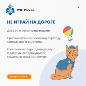 загруженное (47)
