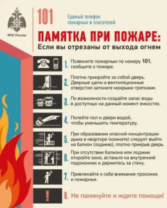 загруженное (80)
